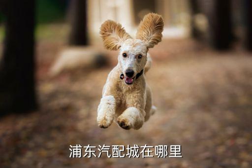 浦东汽配城在哪里
