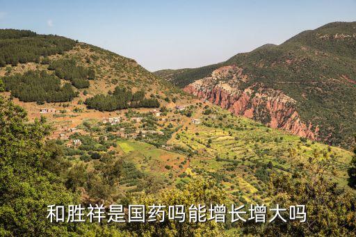 和胜祥是国药吗能增长增大吗