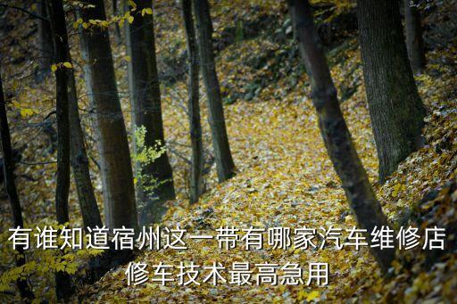 有谁知道宿州这一带有哪家汽车维修店修车技术最高急用