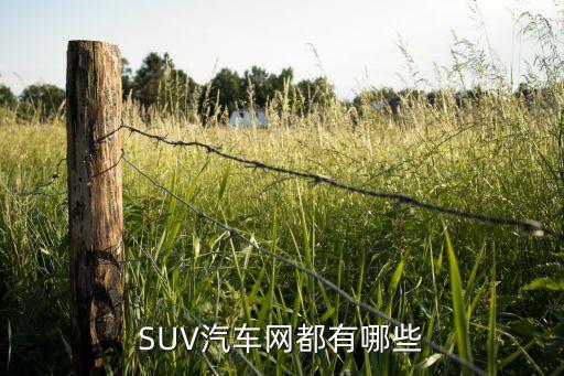 众盟速配汽配官网下载地址，SUV汽车网都有哪些