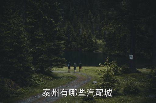 泰州奇瑞汽配城地址电话，泰州汽配城在哪泰州修理厂哪里比较集中谢谢