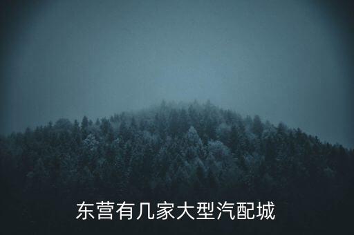 宜章佳宏汽配店地址，西安是户县哪有电脑配件店