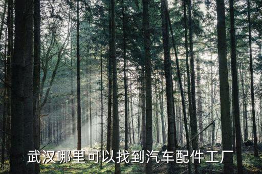武汉哪里可以找到汽车配件工厂