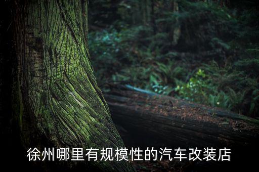 徐州奥迪改装汽配城地址，请问徐州哪家汽车改装店比较好