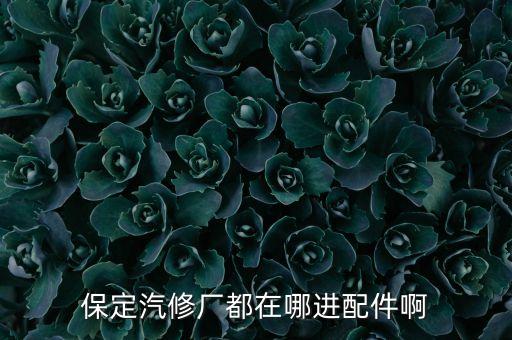 保定汽修厂都在哪进配件啊