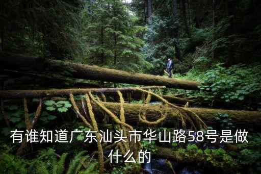 汕头东风580汽配厂地址，峡山凯乐迪地址