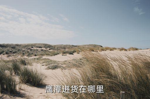 鹰潭进货在哪里