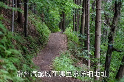 富春镇汽配厂地址在哪里，广西阳河工业区中驰汽配制造有限公司