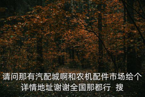 盘州市小宇汽配店地址，重庆各地方大货车修理厂和汽配店地址