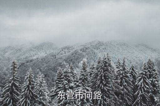 东营市问路