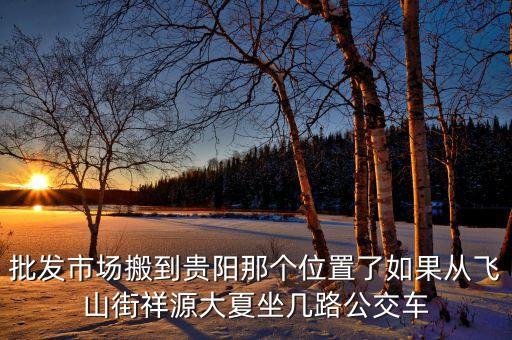 批发市场搬到贵阳那个位置了如果从飞山街祥源大夏坐几路公交车