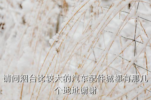 请问烟台比较大的汽车配件城都有那几个地址谢谢