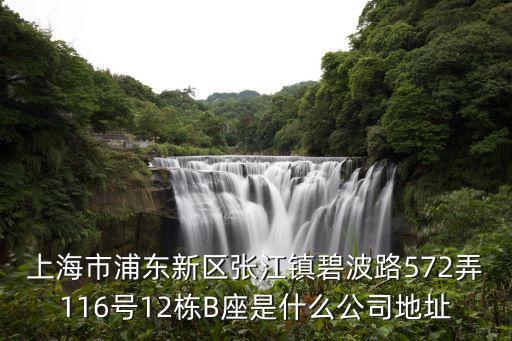 上海市浦东新区张江镇碧波路572弄116号12栋B座是什么公司地址