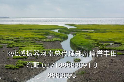 周口减震器汽配店地址，周口汽配城在哪里 具体点的