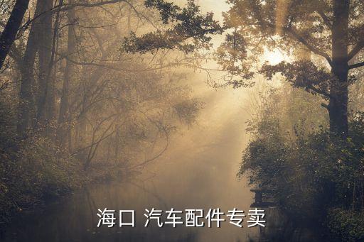 海口 汽车配件专卖