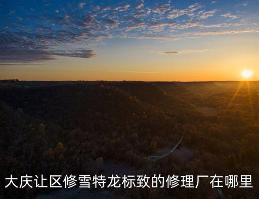 大庆让区修雪特龙标致的修理厂在哪里