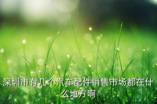 深圳市有几个汽车配件销售市场都在什么地方啊