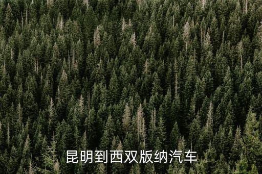 昆明到西双版纳汽车