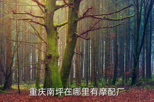 重庆南坪在哪里有摩配厂