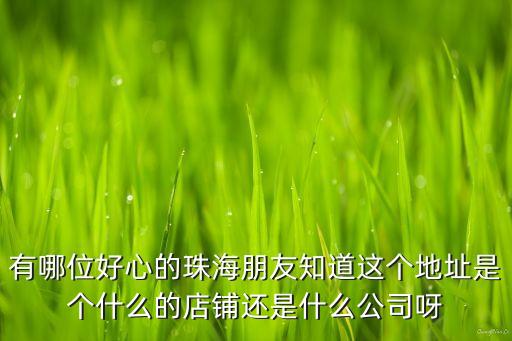 有哪位好心的珠海朋友知道这个地址是个什么的店铺还是什么公司呀