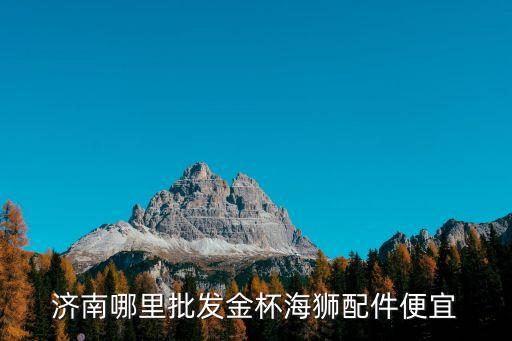 济南哪里批发金杯海狮配件便宜