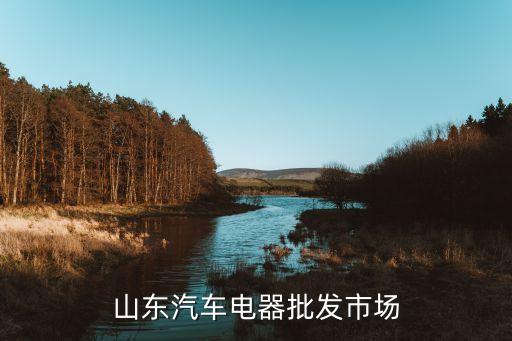 山东汽车电器批发市场