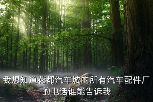 花都泰仡汽配厂地址查询，广州税恩财务代理有限公司地址是在哪里的