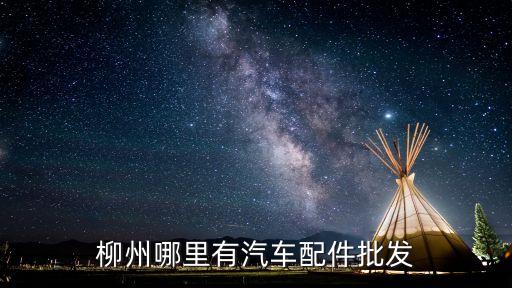 远阳汽配批发电话地址，请问茂名那里有汽车配件卖