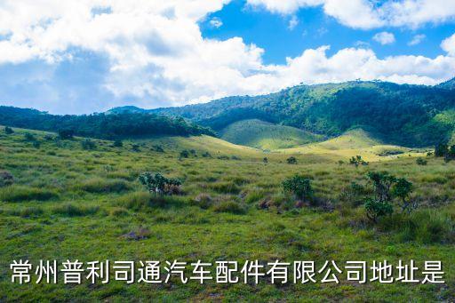 常州普利司通汽车配件有限公司地址是