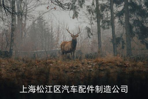 上海松江区汽车配件制造公司