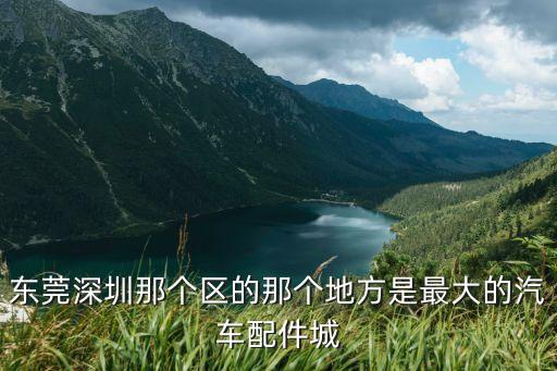 深圳最牛汽配城地址查询，深圳最大的汽配市场在那里还望各位说具体点谢谢