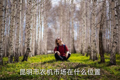 昆明市农机市场在什么位置