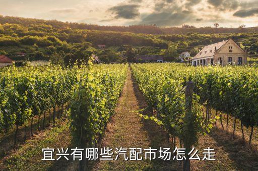 宜兴有哪些汽配市场怎么走