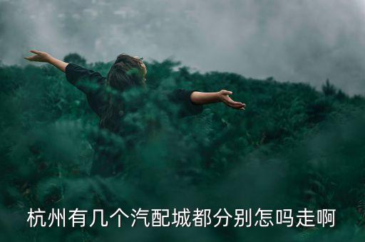 杭州有几个汽配城都分别怎吗走啊