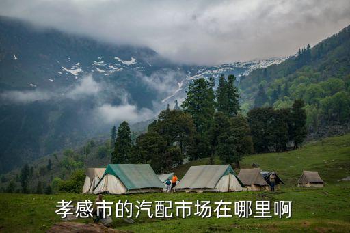 孝感路虎汽配厂地址电话，孝感市的汽配市场在哪里啊