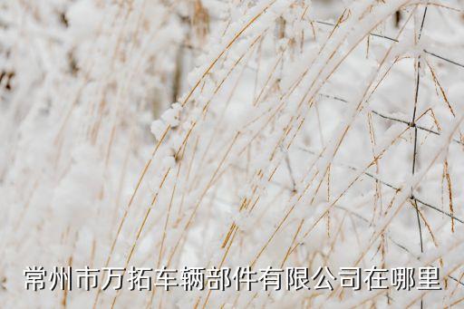 常州市万拓车辆部件有限公司在哪里