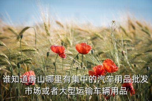 谁知道唐山哪里有集中的汽车用品批发市场或者大型运输车辆用品