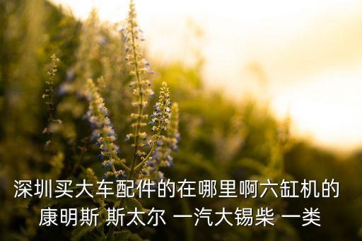 深圳买大车配件的在哪里啊六缸机的 康明斯 斯太尔 一汽大锡柴 一类
