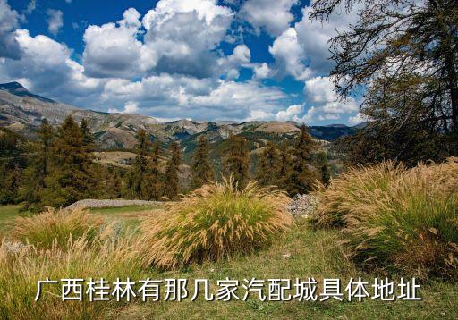 合山市汽配连锁公司地址，广西桂林有那几家汽配城具体地址