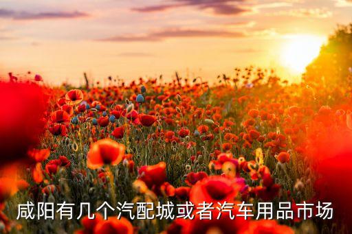 咸阳十大汽配城地址，有哪位大哥知道西安汽车配件批发市场在哪