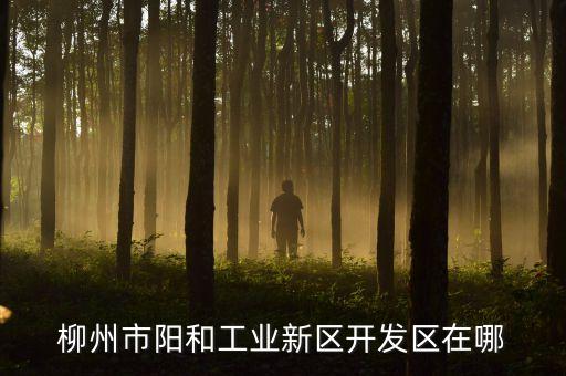 柳州四方汽配城地址电话，柳州有汽配城吗