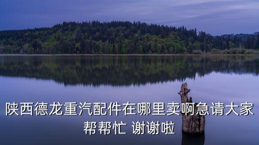 陕西德龙重汽配件在哪里卖啊急请大家帮帮忙 谢谢啦