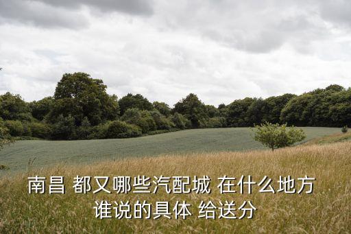 南昌福特汽配地址，南昌汽车维修站汽配主要分布在哪几个区域