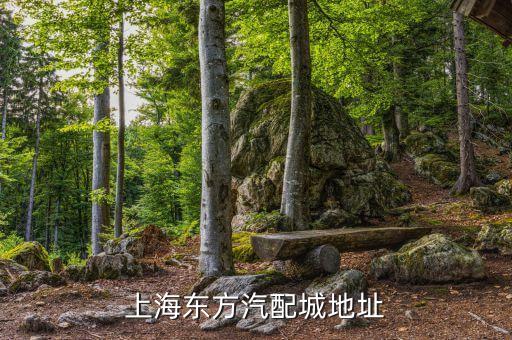 上海东方汽配城地址