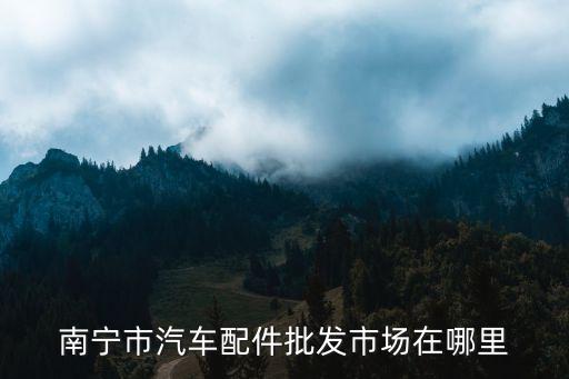 南宁最大的汽车配件市场在哪里，南宁最大的汽配批发市场在哪叩谢