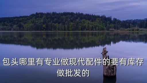 包头哪里有专业做现代配件的要有库存做批发的