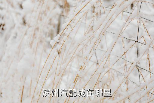 滨州汽配城在哪里