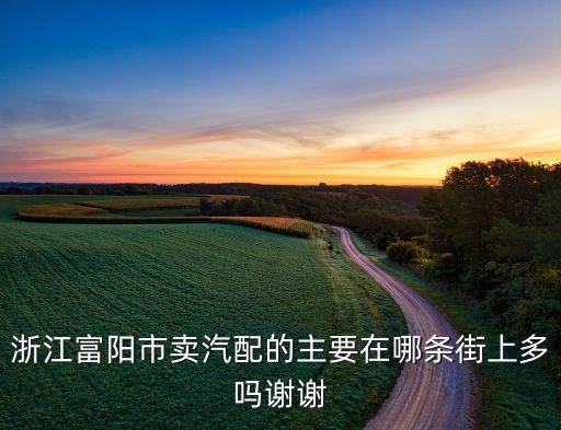 浙江富阳市卖汽配的主要在哪条街上多吗谢谢