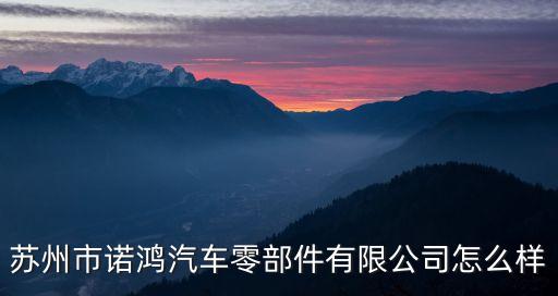 苏州市诺鸿汽车零部件有限公司怎么样