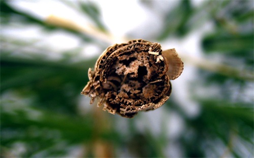 汽车咨询公司，最好的汽车咨询网